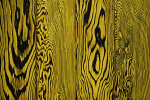 charred-douglas-fir-yellow-cladding