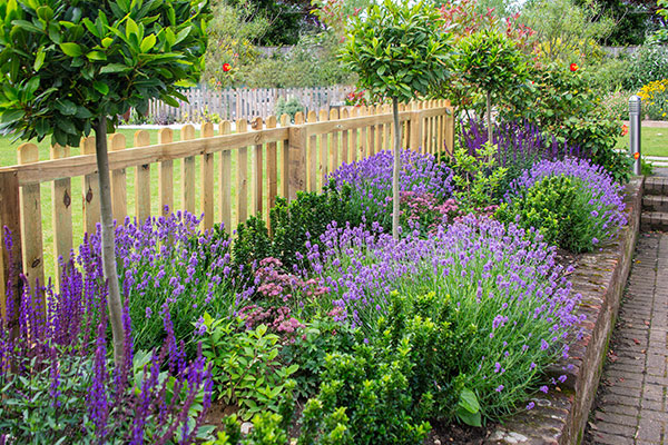 round-top-fence