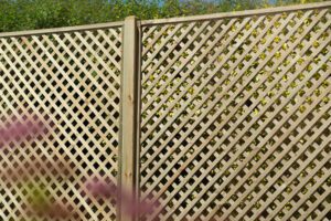rosemore lattice fencing